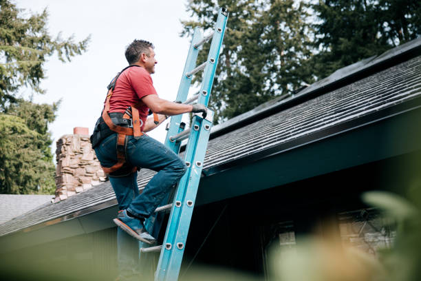 Best Gutter Installation and Repair  in Ferrum, VA